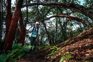 BIB: 
                            <button type="button" onclick="openModal(26346867)" class="btn btn-primary btn-sm float-right btn-popup" data-toggle="modal" data-target=".modal-high-quality">
                        <i class="fas fa-shopping-cart"></i> Add to Cart
                    </button>
                                            <button type="button" onclick="isThisMe(26346867, true)" class="btn btn-success btn-sm float-right btn-popup btn-isme hidden" data-toggle="tooltip" data-placement="bottom" title="นี่คือรูปของคุณใช่ไหม คลิกที่นี่เพื่อเอาเข้าอัลบั้ม">
                        <i class="fas fa-plus"></i> Add to album
                    </button>
                    <button type="button" onclick="isThisMe(26346867, false)" class="btn btn-warning btn-sm float-right btn-popup btn-isnotme hidden">
                        <i class="fas fa-ban"></i> Remove from album
                    </button>